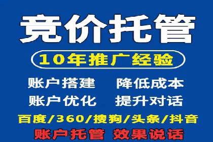 百度竞价排名服务：成功案例解析与优化策略